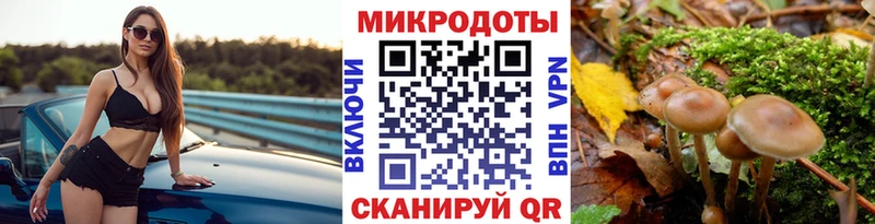 Купить закладки  Махачкала  Псилоцибиновые грибы Magic Shrooms 